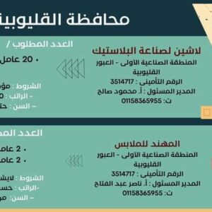 وظائف حكومية وزارة العمل تعلن عن 2569 فُرصة عمل في 69 شركة خاصة تنتظر شباب 15 مُحافظة 