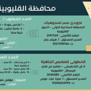 وظائف حكومية وزارة العمل تعلن عن