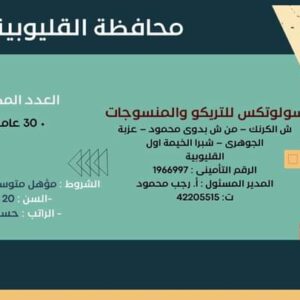 وظائف حكومية وزارة العمل تعلن عن 2569 فُرصة عمل في 69 شركة خاصة تنتظر شباب 15 مُحافظة 