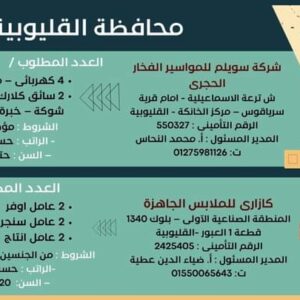 وظائف حكومية وزارة العمل تعلن عن 2569 فُرصة عمل في 69 شركة خاصة تنتظر شباب 15 مُحافظة 