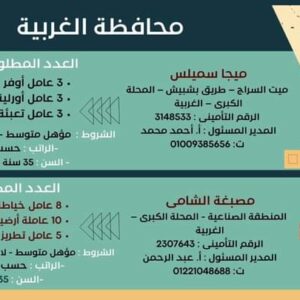 وظائف حكومية وزارة العمل تعلن عن