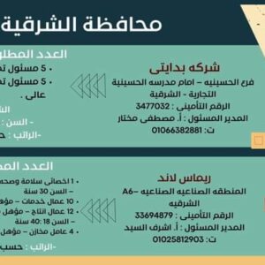 وظائف حكومية وزارة العمل تعلن عن 2569 فُرصة عمل في 69 شركة خاصة تنتظر شباب 15 مُحافظة 