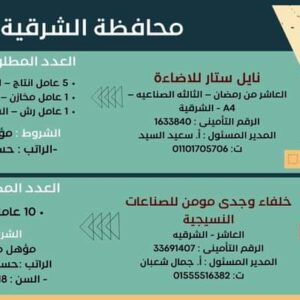 وظائف حكومية وزارة العمل تعلن عن 2569 فُرصة عمل في 69 شركة خاصة تنتظر شباب 15 مُحافظة 