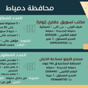 وظائف حكومية وزارة العمل تعلن عن