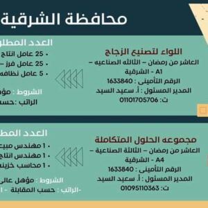 وظائف حكومية وزارة العمل تعلن عن 2569 فُرصة عمل في 69 شركة خاصة تنتظر شباب 15 مُحافظة 