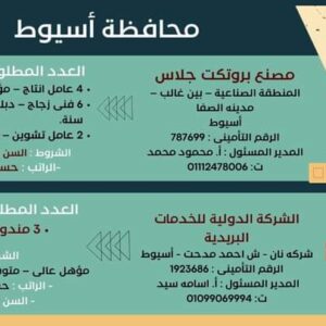 وظائف حكومية وزارة العمل تعلن عن