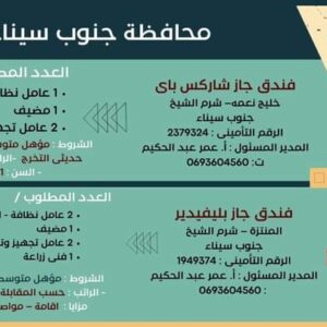 وظائف حكومية وزارة العمل تعلن عن