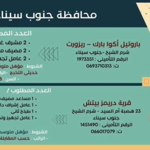 وظائف حكومية وزارة العمل تعلن عن 2569 فُرصة عمل في 69 شركة خاصة تنتظر شباب 15 مُحافظة 