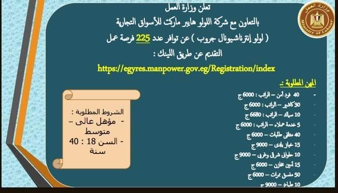 رابط تقديم وظائف وزارة العمل للمؤهلات العليا والدبلومات والإعدادية بمرتبات تصل إلى 9 الف جنية 