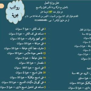 وظائف وزارة العمل بشركة الغزل والنسيج لجميع المؤهلات والتخصصات والمحافظات قدم الان 