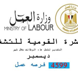 وزارة العمل: 4599 فُرصة عمل جديدة في 53 شركة خاصة تنتظر شباب المحافظات..والتقديم خلال ديسمبر 2024
