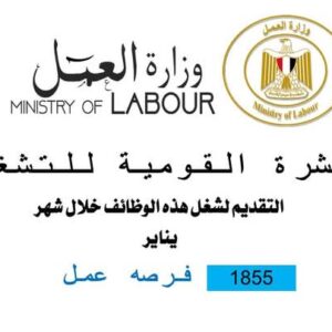 2000 فرصة عمل في 66 شركة في مختلف المحافظات