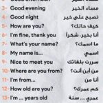 🟥اساسيات تعلم اللغه الانجليزية من الصفر 🇬🇧