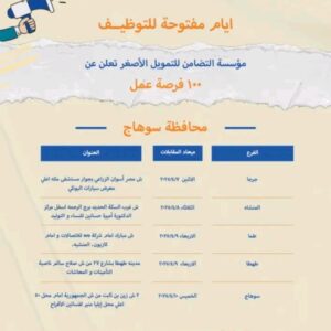وظائف مؤسسة التضامن للتمويل الأصغر للمؤهلات العليا والدبلومات 