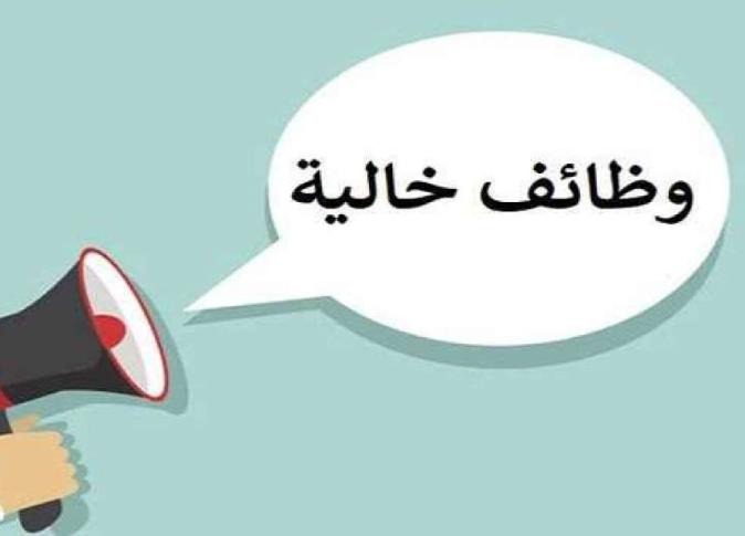 وظائف الهيئة العامة لميناء للمؤهلات العليا والدبلومات الشروط وآخر موعد للتقديم