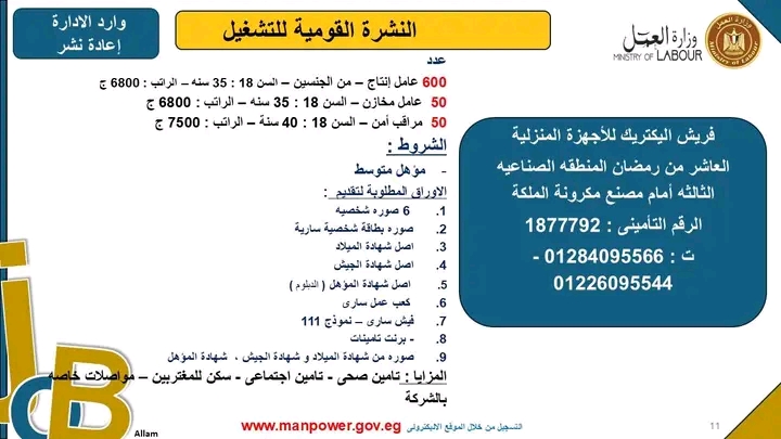 براتب 7500 جنيه فرص عمل فريش اليكتريك للمؤهلات العليا والدبلومات قدم الان 