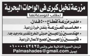 للمؤهلات العليا والدبلومات وظائف جريدة الأهرام لخريجي تجاره وحقوق وتربيه واداب وزراعة وهندسه ودبلومات وعمال