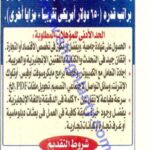 وظائف وزارة الخارجية المصرية وظائف سفارة الهند في القاهرة للمؤهلات العليا والدبلومات بمراتب 650 دولار أمريكي 