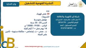 وظائف حكومية وظائف شركة الكهرباء 2025 برواتب مجزية وتأمين على الحياة – اعرف الشروط وخطوات التقديم