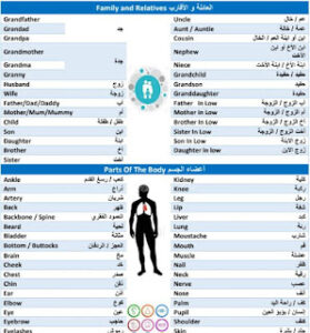 كتاب اكثر الكلمات إستعمالاً في الانجليزية pdf