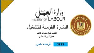 وظائف وزارة العمل المصريه 3633 فرصة عمل للمؤهلات العليا والدبلومات ومن غير مؤهل لجميع التخصصات والمحافظات 