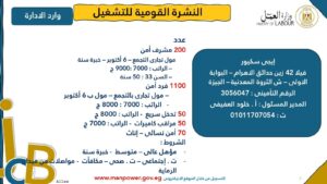 وظائف وزارة العمل المصريه 3633 فرصة عمل للمؤهلات العليا والدبلومات ومن غير مؤهل لجميع التخصصات والمحافظات 