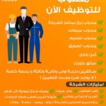 وظائف شركة فينوس للمؤهلات العليا والدبلومات 2025 