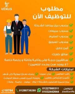 وظائف شركة فينوس للمؤهلات العليا والدبلومات 2025 