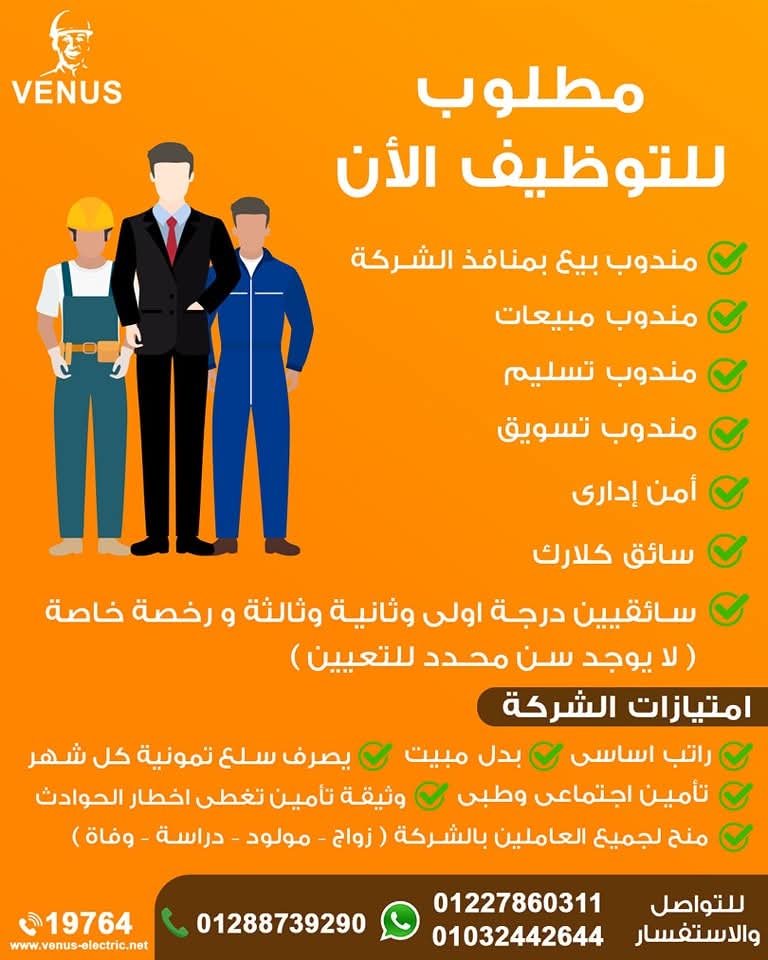 وظائف شركة فينوس للمؤهلات العليا والدبلومات 2025 