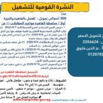 وظائف وزارة العمل وظائف مؤسسة التضامن للتمويل الأصغر