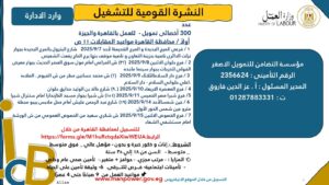 وظائف وزارة العمل وظائف مؤسسة التضامن للتمويل الأصغر