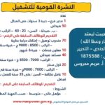 وظائف شركات الأدوية أعلنت وزارة العمل عن مئات فرص العمل للمؤهلات العليا والدبلومات 2025 