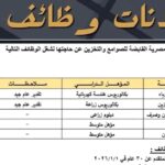 وظائف حكومية وظائف الشركة القابضة للصوامع والتخزين للمؤهلات العليا والدبلومات 2025 لمدة 15 يوم 