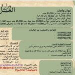 6200 وظيفة حكومية أعلنت عنها وزارة العمل للمؤهلات العليا والدبلومات 2025 