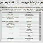 وظائف جهاز تشغيل الشباب الخريجين للذكور والإناث للمؤهلات العليا والدبلومات 2025 