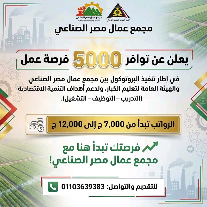 5000 فرصة عمل للمؤهلات العليا والدبلومات والإعدادية لمختلف التخصصات والمحافظات للذكور والإناث 2025 