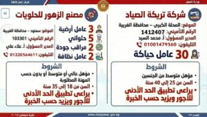 مسابقة وزارة العمل أعلنت عن 7600 فرصة عمل