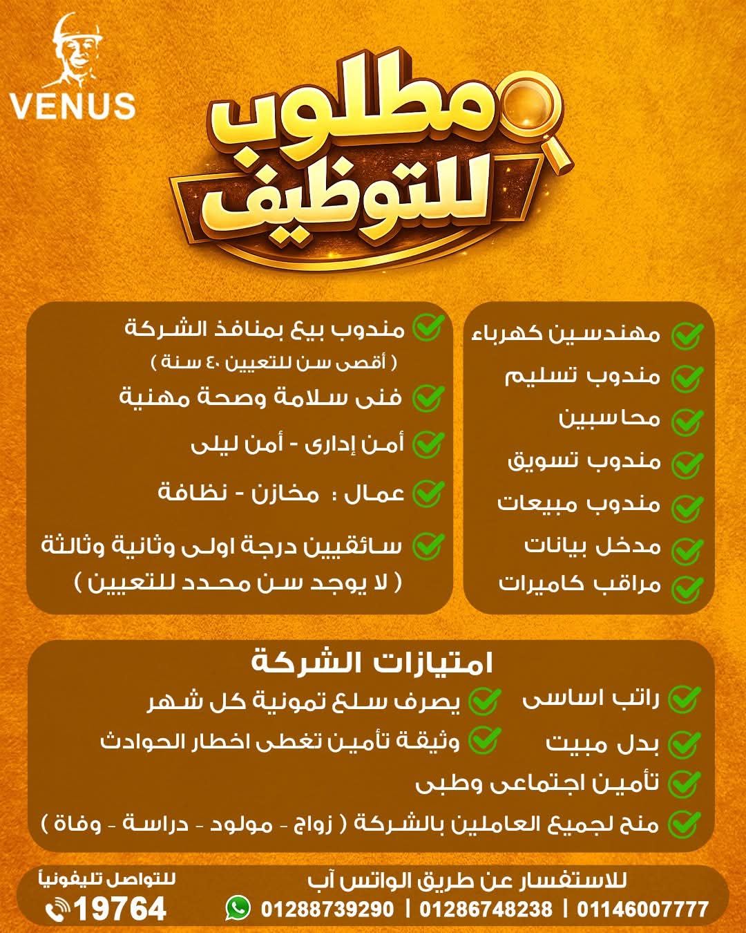 اعلان وظائف خالية لدي  شركة فينوس للمؤهلات العليا والدبلومات من غير مؤهل 2026 