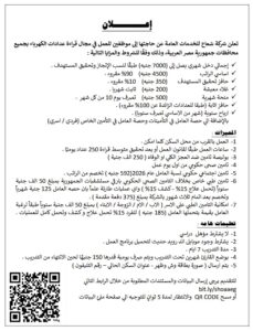 وظائف حكومية وظائف وزارة الكهرباء مصر للمؤهلات العليا والدبلومات