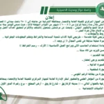 وظائف الجهاز المركزي للتعبئة العامة والإحصاء 2026 باحث ميداني