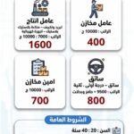 وظائف مجمع عمال مصر 2026 لمختلف التخصصات للمؤهلات العليا والدبلومات 