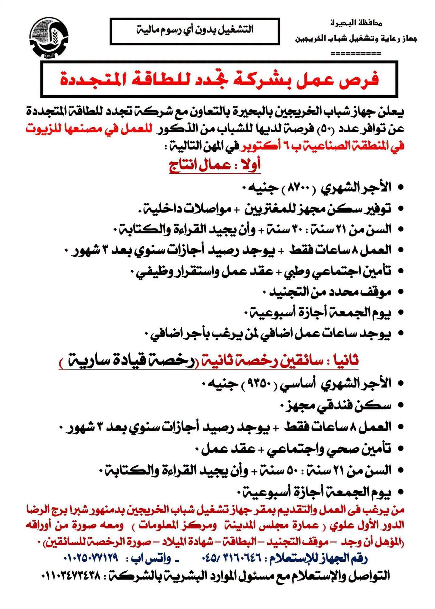 وظائف جهاز رعاية وتشغيل شباب الخريجين 2026 وظائف شركة طاقة المتجددة للمؤهلات العليا والدبلومات 