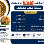 وظائف مجموعة طلعت مصطفى 2026.. 3070 فرصة عمل برواتب مميزة 