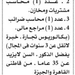 وظائف وزارة التضامن المؤسسة العامة للتكافل الاجتماعي 2026 للمؤهلات العليا والدبلومات