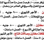 وظائف خالية بأكبر مصانع الغزل والنسيج 2026 للمؤهلات العليا والدبلومات بشركة نيو دريم